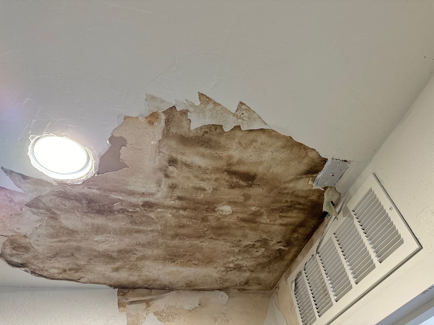 From Drips to Fix: Ceiling Repair in Thornton