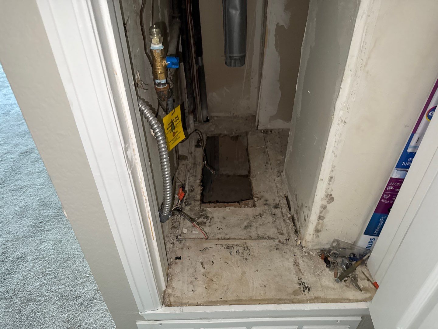 Mold and Dampness During Fall and Winter: Protecting Your Denver Home