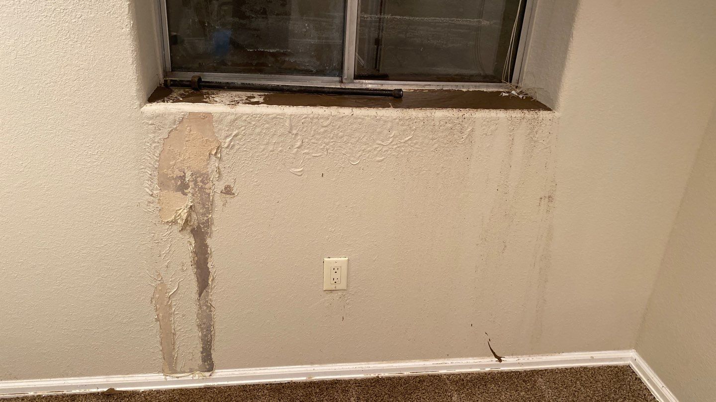 Water Damage Mitigation Companies: How to Pick the Best One